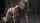 behind kink haley scott caged