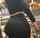 busty big ass fat ass