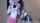 camgirls ametuer lesbian