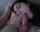 teen blowjob amateur