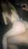 teen doggystyle redhead