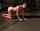 redhead bdsm bondage