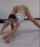 amateur russian teen