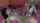 swisspornmovies brunette babe