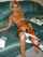 amateur blonde hairy