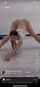 twerking yoga stretching
