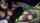 rat amateur masturbation