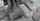 tan smooth skin reverse cowgirl