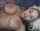 blonde busty fake tits