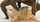 blonde interracial animated gif