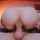 cowgirl creampie straight