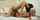 lesbian strapon blonde