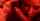threesome closeup blow