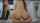dildo ride camgirl