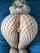 ass fishnet arched