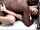 bbc sex creampie