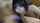 asian blowjob japanese
