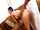 asian anal fake tits