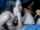 chaturbate big dick couples