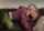 lesbian kissing blonde