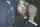 jav japanese public