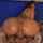camgirl riding dildo