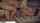 riley reid threesome manuel ferrara