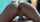 reverse cowgirl pov riding