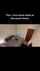 bed dildo masturbation