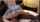highschool ride black dick creampie
