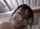 asian cumshot straight