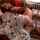 camgirl amateur brunette