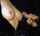 glory hole handjob cumshot