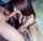 amateurbrunette blowjob best