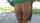 lea lexis returns 2008 kinkcom
