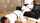 jav judo martial arts