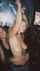blonde party public