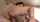 jav madonna asian