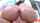 ass gape butt