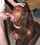 ebony black camgirl