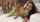 gangbang anal 0 pussy