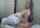 camgirl hot amateur