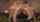 asian handjob threesome
