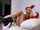 camgirl bongacams cristalkate