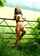 milf bondage outdoor