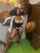 ebony thin waist bimbo