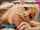 blowjob teen porn ad