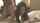 asian japanese jav