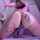 amateur porn ad dildo