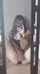 asian amateur camera